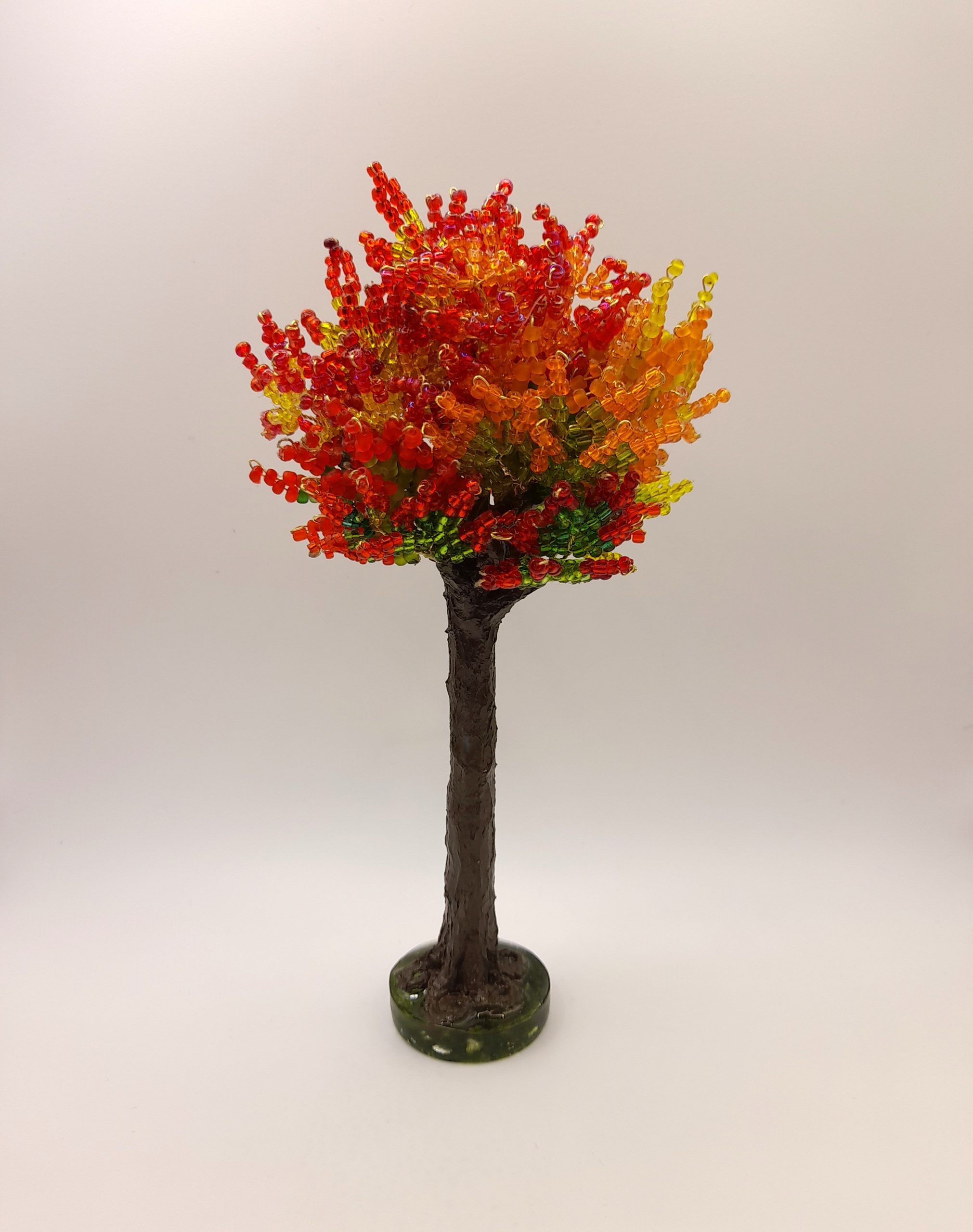 Red Bead Tree