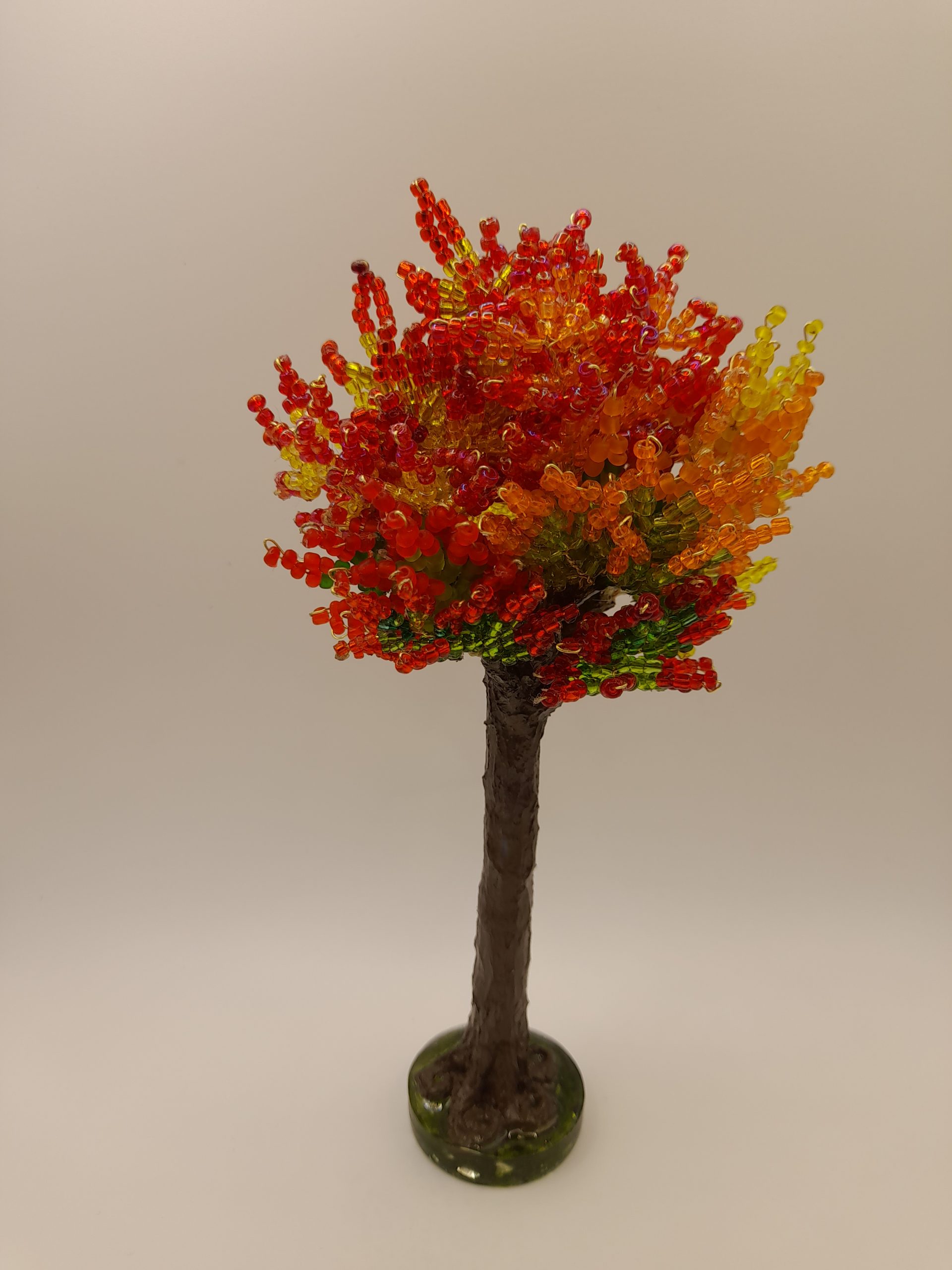 Red Bead Tree